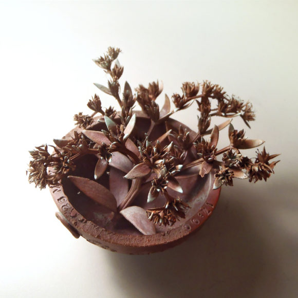 Un exposition de NUA dans Tisanu infusion